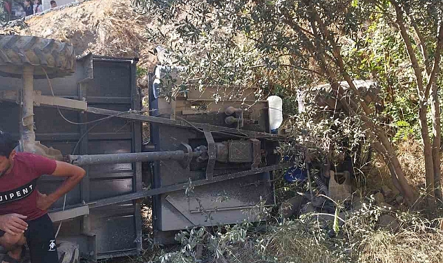 Zeytinliğe uçan patpattaki 2 kişi yaralandı