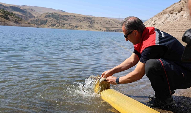 1 milyon 680 bin sazan balığı salındı