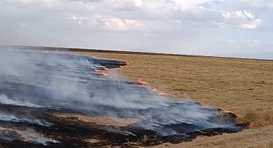 Ağrı'da anız yangını: 200 dönümlük tarla yandı (Videolu Haber)