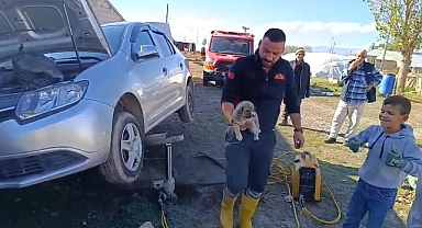 Ağrı'da araçta sıkışan yavru köpek kurtarıldı (Videolu Haber)