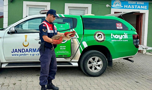 Ağrı’da bitkin düşen Balıkçıl Kuşu, jandarma tarafından kurtarıldı