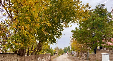 Ağrı’da sonbaharda renk cümbüşü