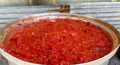 Ağrılı kadınlar bahçelerinde ürettiği domatesleri kışlık salça yaptı