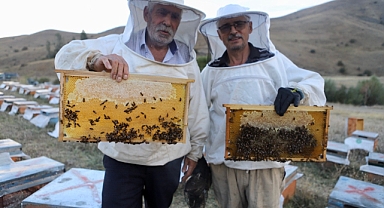 Arıcılık tutkusu 5 kovanla başladı, 250 kovandan Ağrı'da 7 ton bal elde ettiler (Videolu Haber)