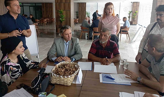 Çanakkale’de Romanların sorunlarına bölgesel çalıştayla çözüm arandı