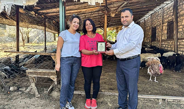 Dev Girişimcilik 10 koyunla başladı 2 bin koyun yetiştirdi