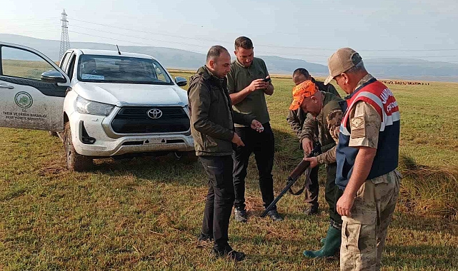 Doğal Hayata Kontrol Altında