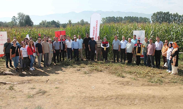 Düzce’de yerli silajlık mısır tarla günü düzenlendi