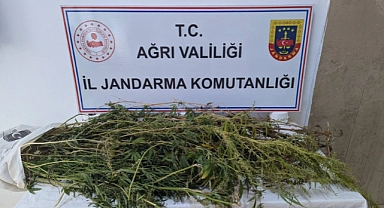 Eleşkirt’te zehir taciri operasyonu: 2 gözaltı