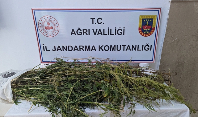 Eleşkirt’te zehir taciri operasyonu: 2 gözaltı