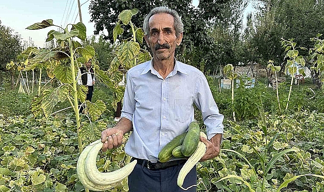 Emektar babanın tek serveti eğitim; 4 doktor, 3 öğretmen, 2 mimar ve 1 mühendis
