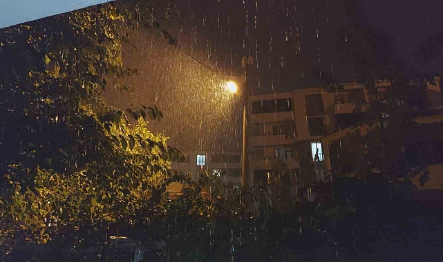 Erciş'te şiddetli yağış etkili oldu