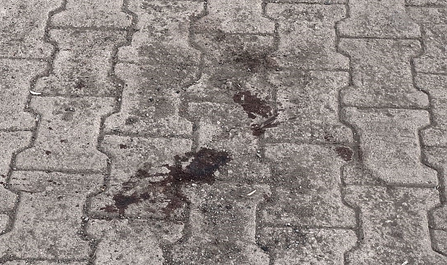 Fransız turiste Tatvan'da bıçaklı saldırı