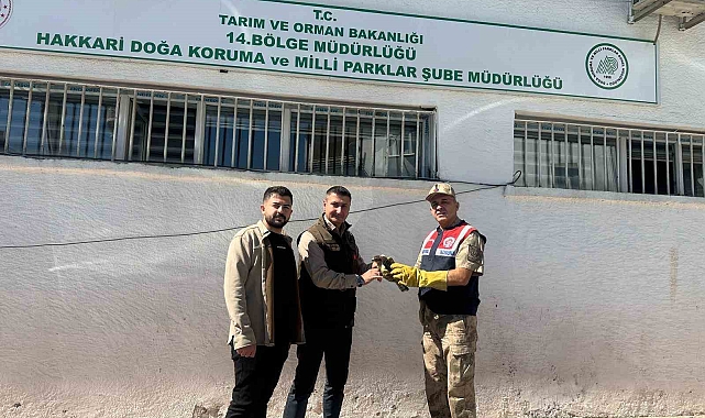 Hakkari'de jandarma doğan yavrusuna şefkat eli uzattı