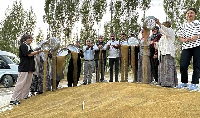 Hakkari'nin kadın çiftçileri eski usul yonca tohumu eleme ve ayıklama mesaisi