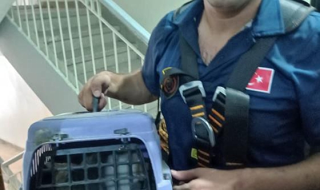 Havalandırma boşluğuna düşen kedi kurtarıldı