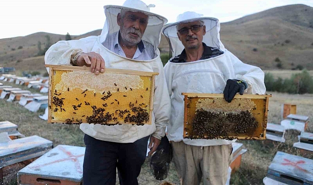 Hobi olarak başladı 7 ton bal üretti