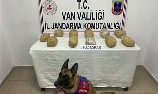 Jandarma dan uyuşturucu operasyonu