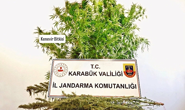 Karabük’te evde kenevir ve esrar bulundu