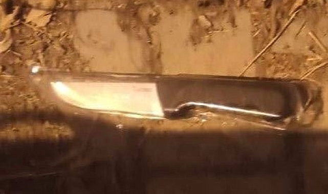 Kavgada kan aktı: 1 yaralı