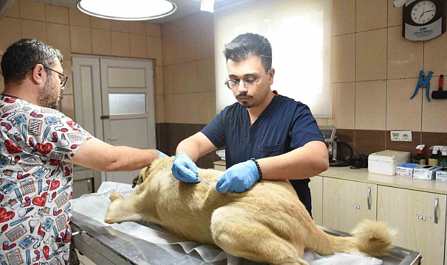 Kepez’den can dosta sıcacık dokunuş