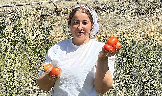 Kışlık salça ve menemen kazanları kaynamaya başladı