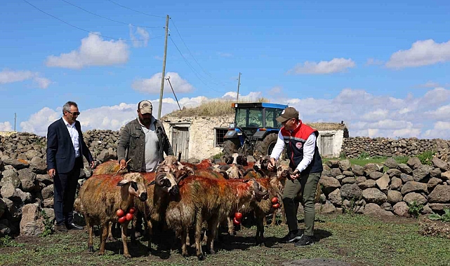 Koç katımı yapıldı