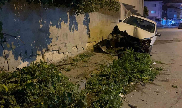 Kontrolden çıkan otomobil ağaca çarptı: 1 yaralı