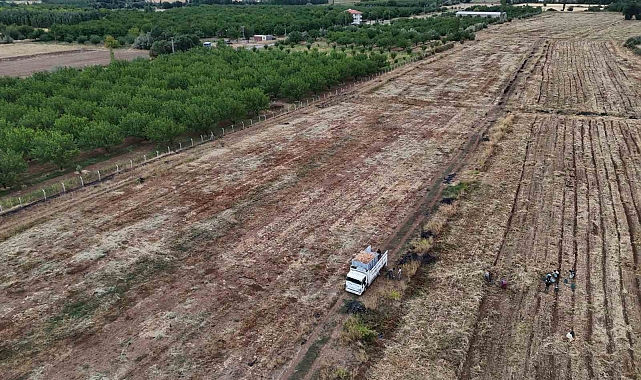 Malatya Çiftçisinin ürettiği soğanlar Avrupa'ya ihraç ediliyor