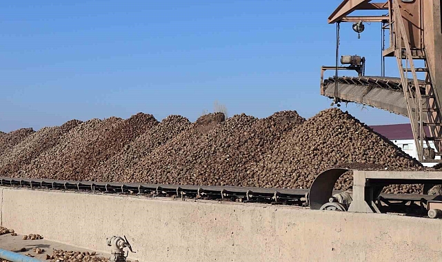Malatya Şeker Fabrikası'nda hedef 55 bin ton şeker üretimi