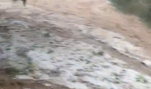 Malatya'da dolu yağışı etkili oldu
