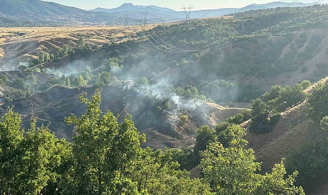 Orman yangını korkuttu!