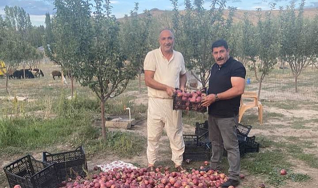 Patnos Ziraat Odası Başkanı Hakverdi, Çiftçileri Ziyaret Etti