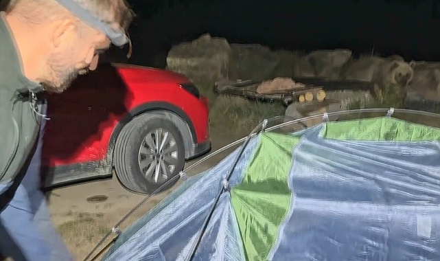 Polonyalı turist ayı saldırısından son anda kurtuldu