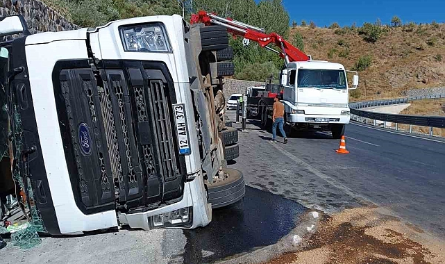 Tır devrildi: 100'den fazla küçükbaş hayvan telef oldu
