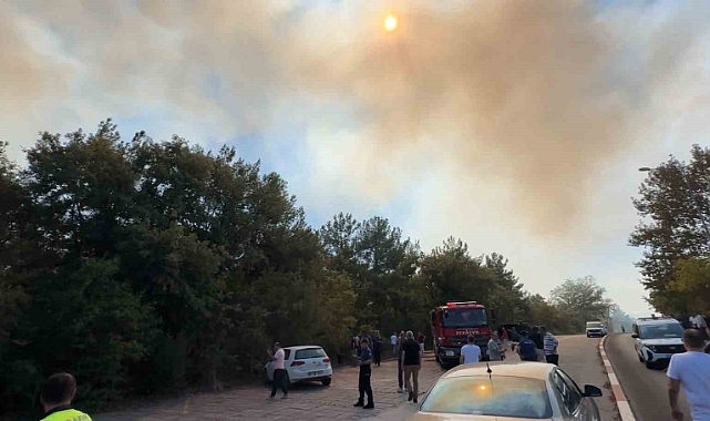 Üniversite kampüsünde orman yangını