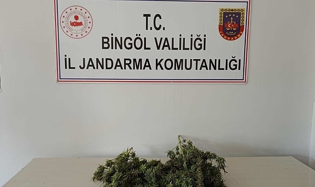 Uyuşturucuyla mücadele sürüyor