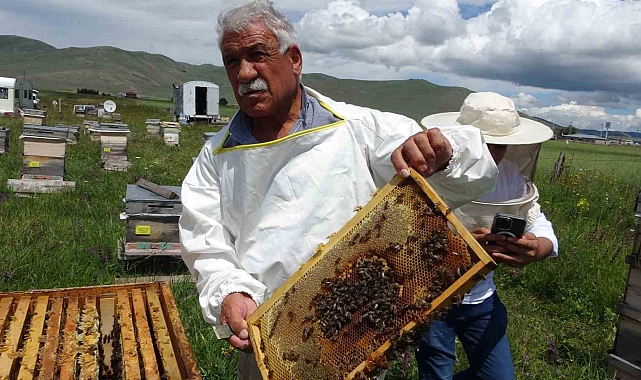 Uzmanından ucuz bal uyarısı
