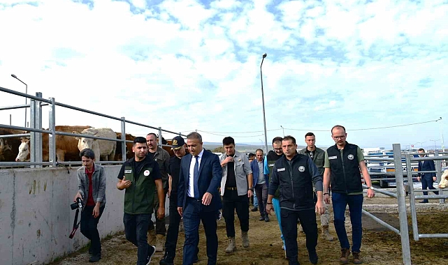 Vali Çiçek, Ardahan hayvan pazarında incelemelerde bulundu
