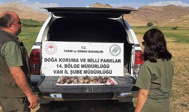 Van'da kota aşımı yapan 3 avcıya 57 bin 373 lira cezai işlem uygulanacak