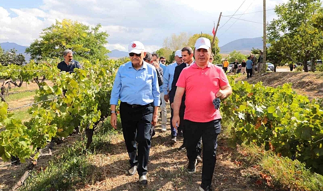Yıldırım yeni üzüm çeşitleri hakkında bilgi aldı