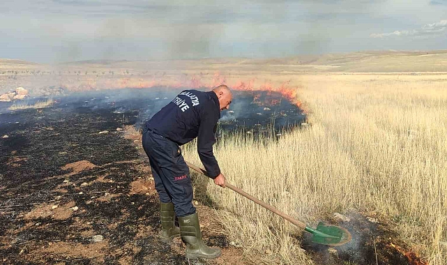 2 bin dekar arazide anız yangını