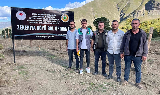 Artvin’de keşfedilen bal, köylünün yeni gelir kapısı oldu
