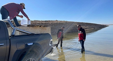 Batman’da 1 milyon balık göle bırakıldı