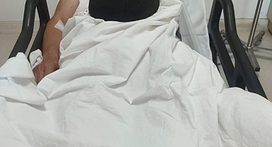 Bilecik’te domuzları avlayan 1 avcı yaralandı