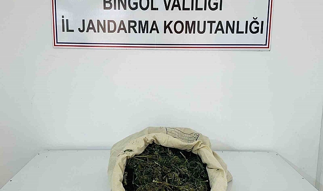 Bingöl'de 1 kilo 975 gram esrar ele geçirildi