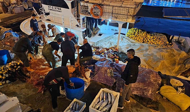 Çanakkale’de balıkçıların ağına 800 çift palamut takıldı