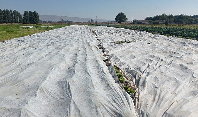 Çiftçiler tarım ürünlerini branda ile korudu