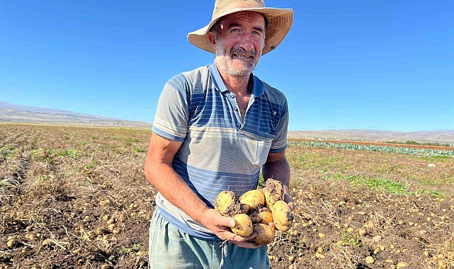 Çiftçinin patates hasadı başladı