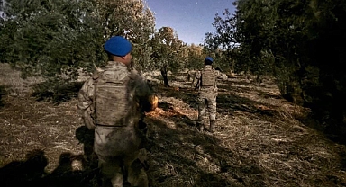 Çiftçinin zeytinine jandarma koruması